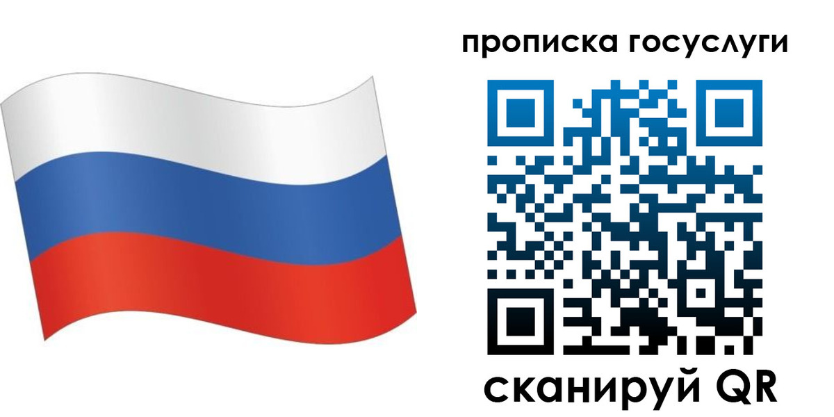 прописка для школы в Ленинградской области